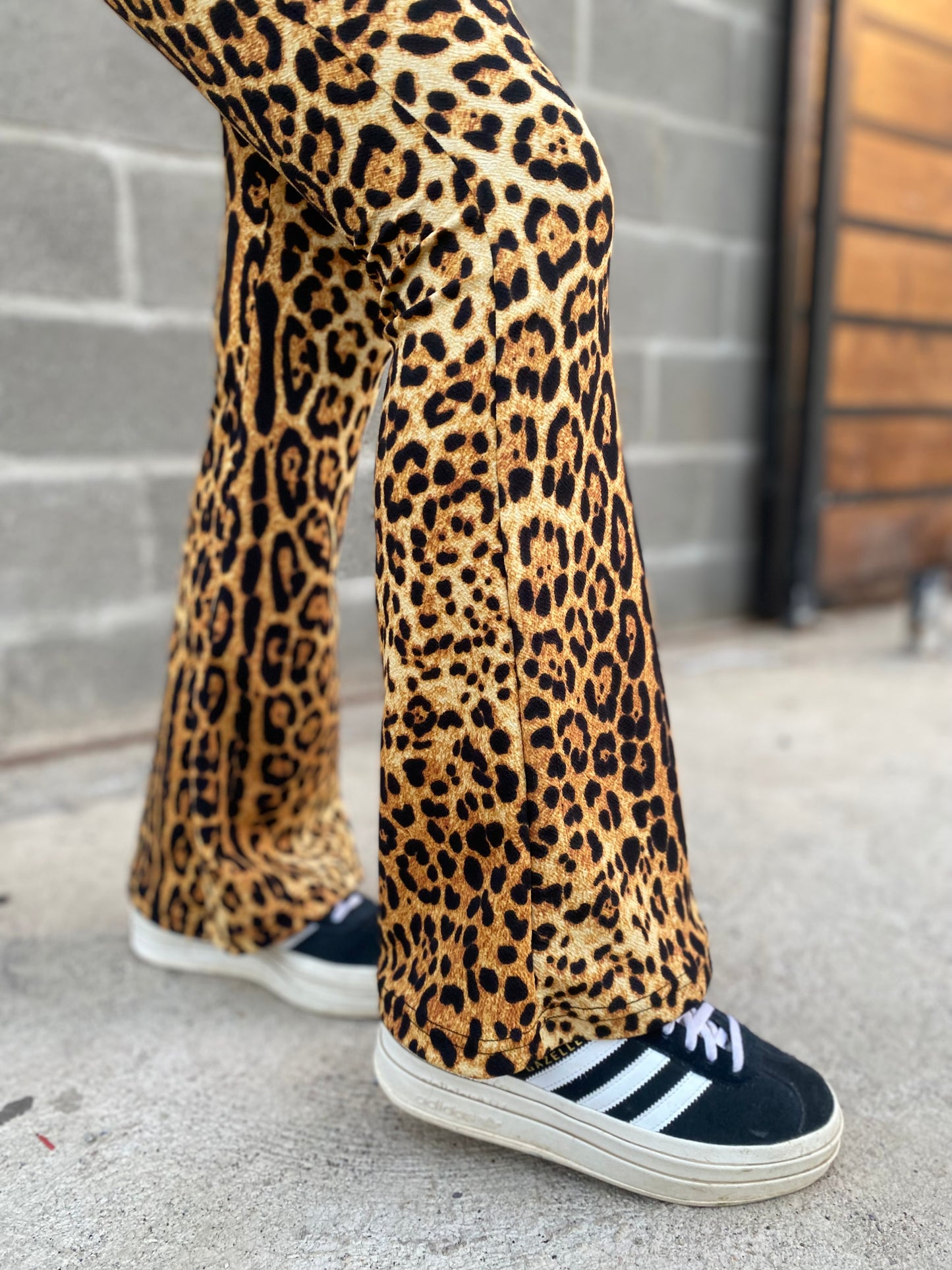 Pata de elefante  LEOPARDO