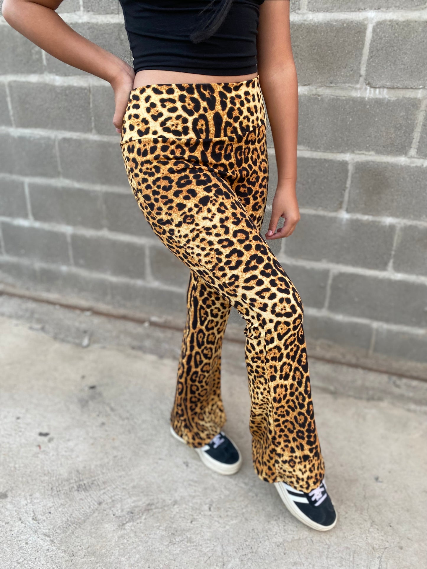 Pata de elefante  LEOPARDO