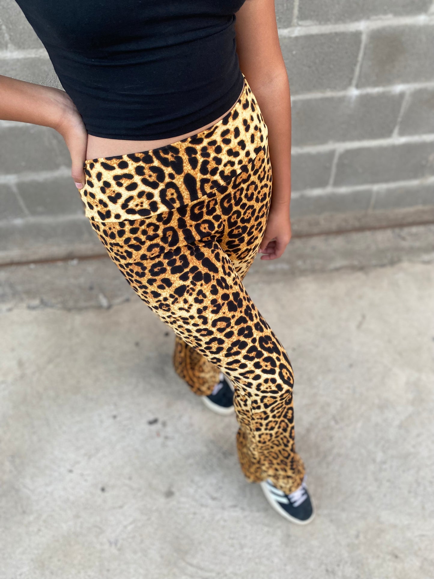 Pata de elefante  LEOPARDO